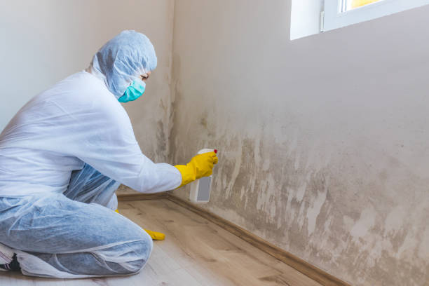 Hvac And Air Duct Mold Remediation inspection of HVAC system in Elon